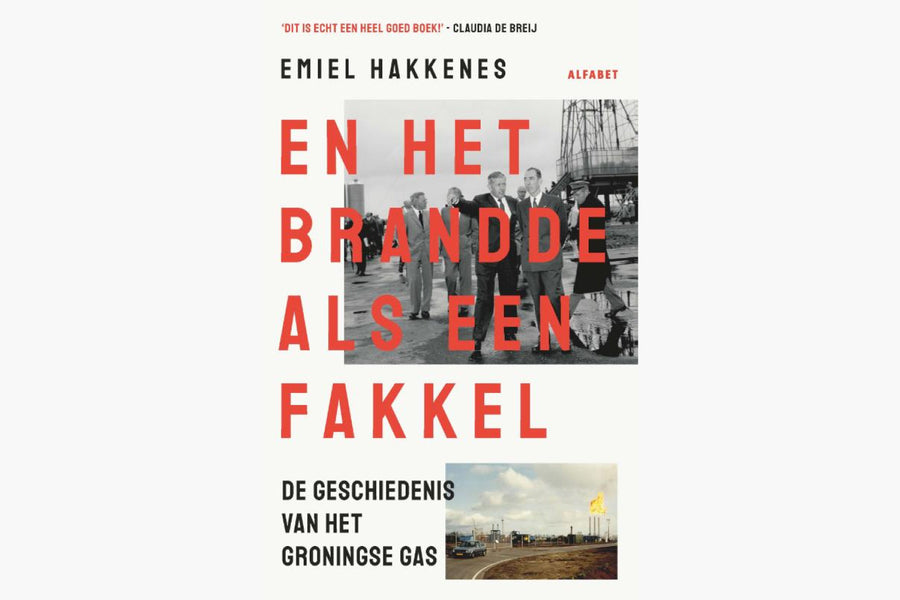 En het brandde als een fakkel - afbeelding 1