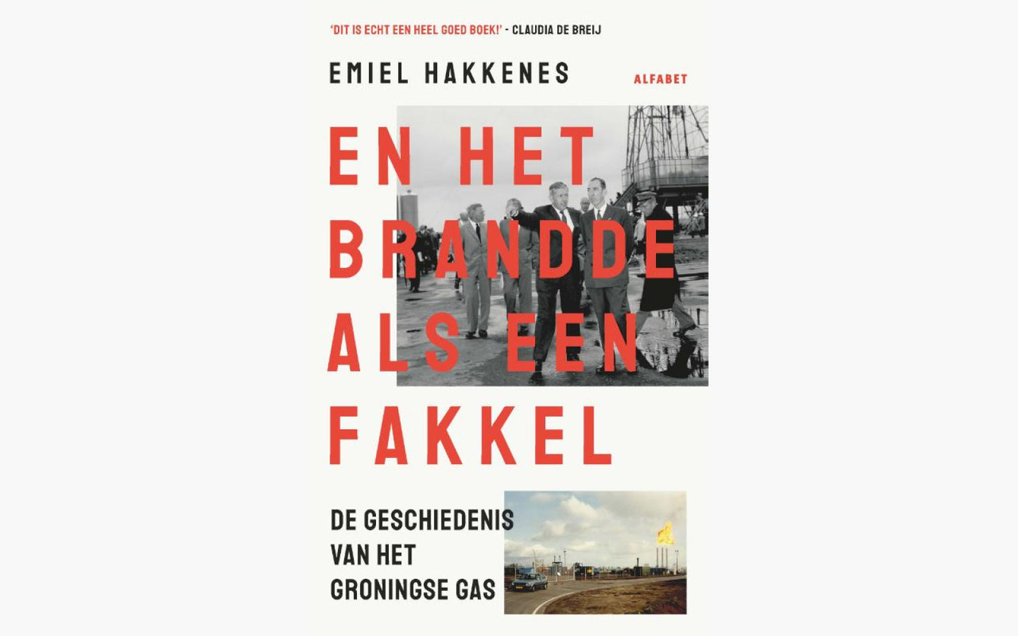 En het brandde als een fakkel - afbeelding 1
