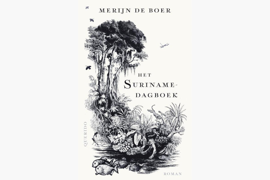 Het Surinamedagboek - afbeelding 1