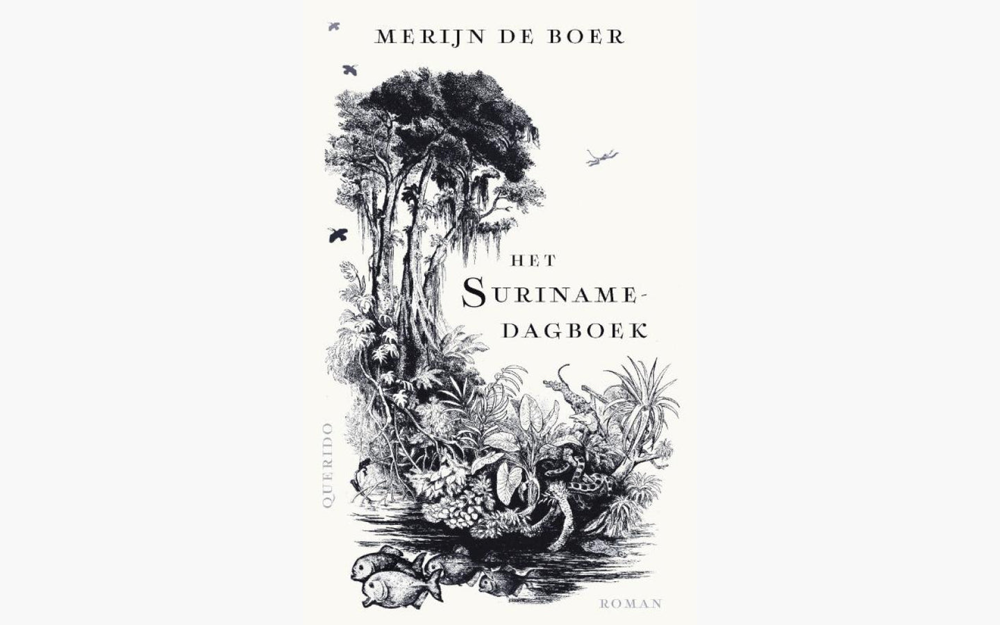 Het Surinamedagboek - afbeelding 1