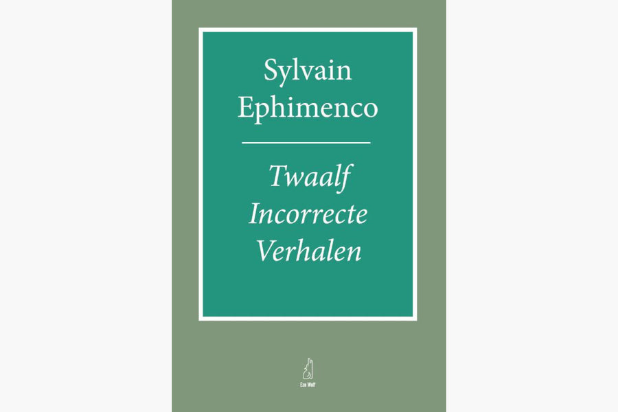 Twaalf incorrecte verhalen - afbeelding 1