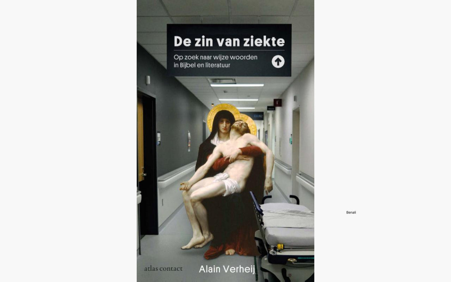 De zin van ziekte - afbeelding 1