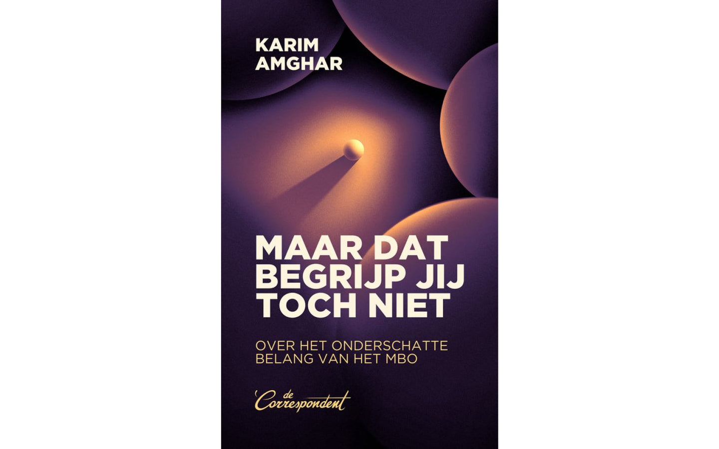Maar dat begrijp jij toch niet - afbeelding 1