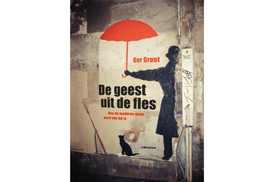 De geest uit de fles - afbeelding 1