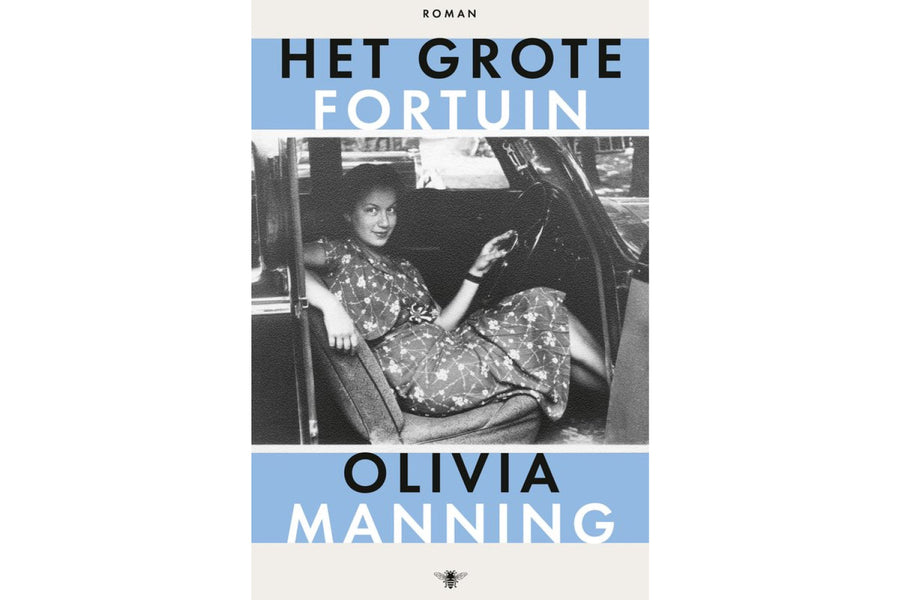 Het grote fortuin - afbeelding 1