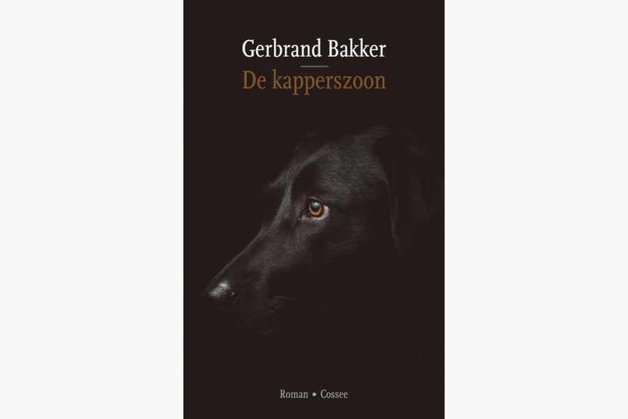 De kapperszoon - afbeelding 1