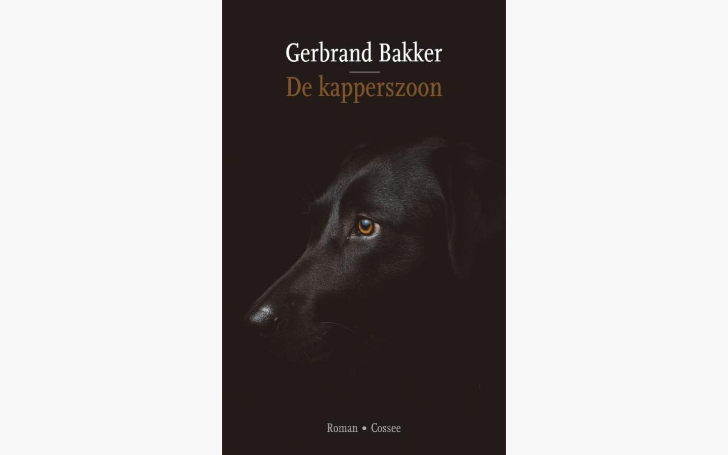 De kapperszoon - afbeelding 1