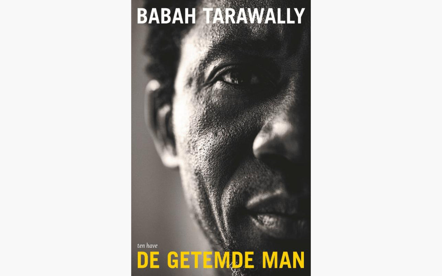 De getemde man - afbeelding 1
