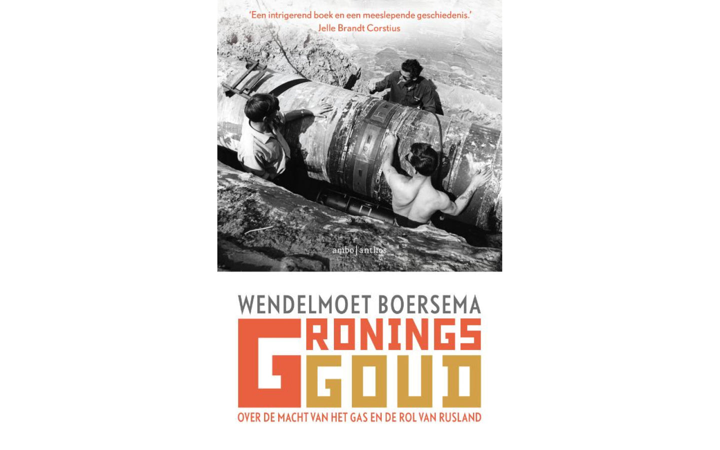 Gronings Goud - afbeelding 1
