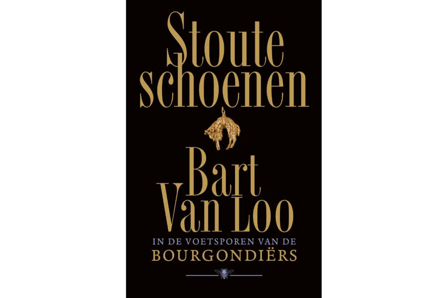 Stoute schoenen - afbeelding 1