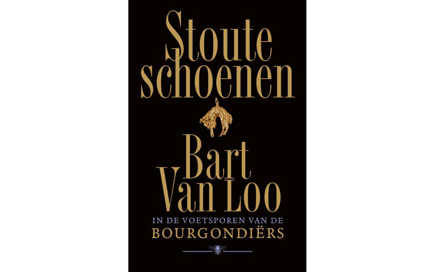 Stoute schoenen - afbeelding 1